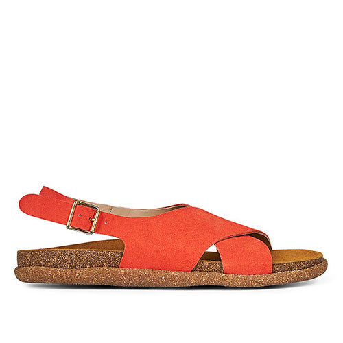 Angulus dame sandal