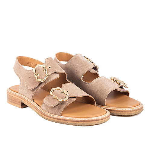 Angulus sandal