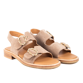 Angulus sandal