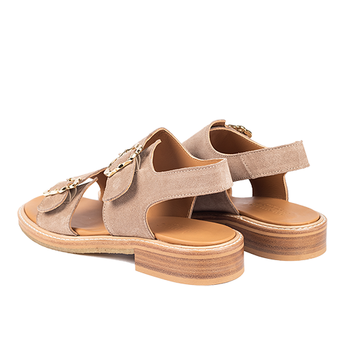 Angulus sandal